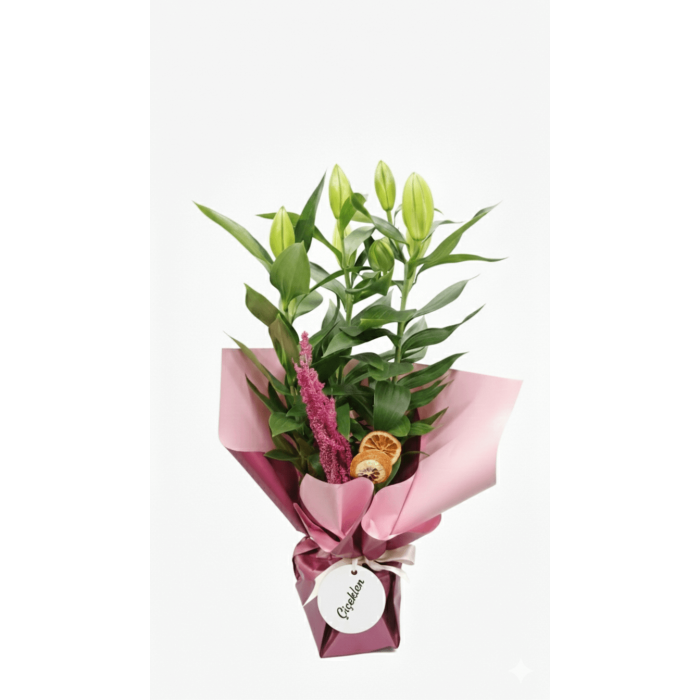 Kokulu pembe lilyum tomurcuk